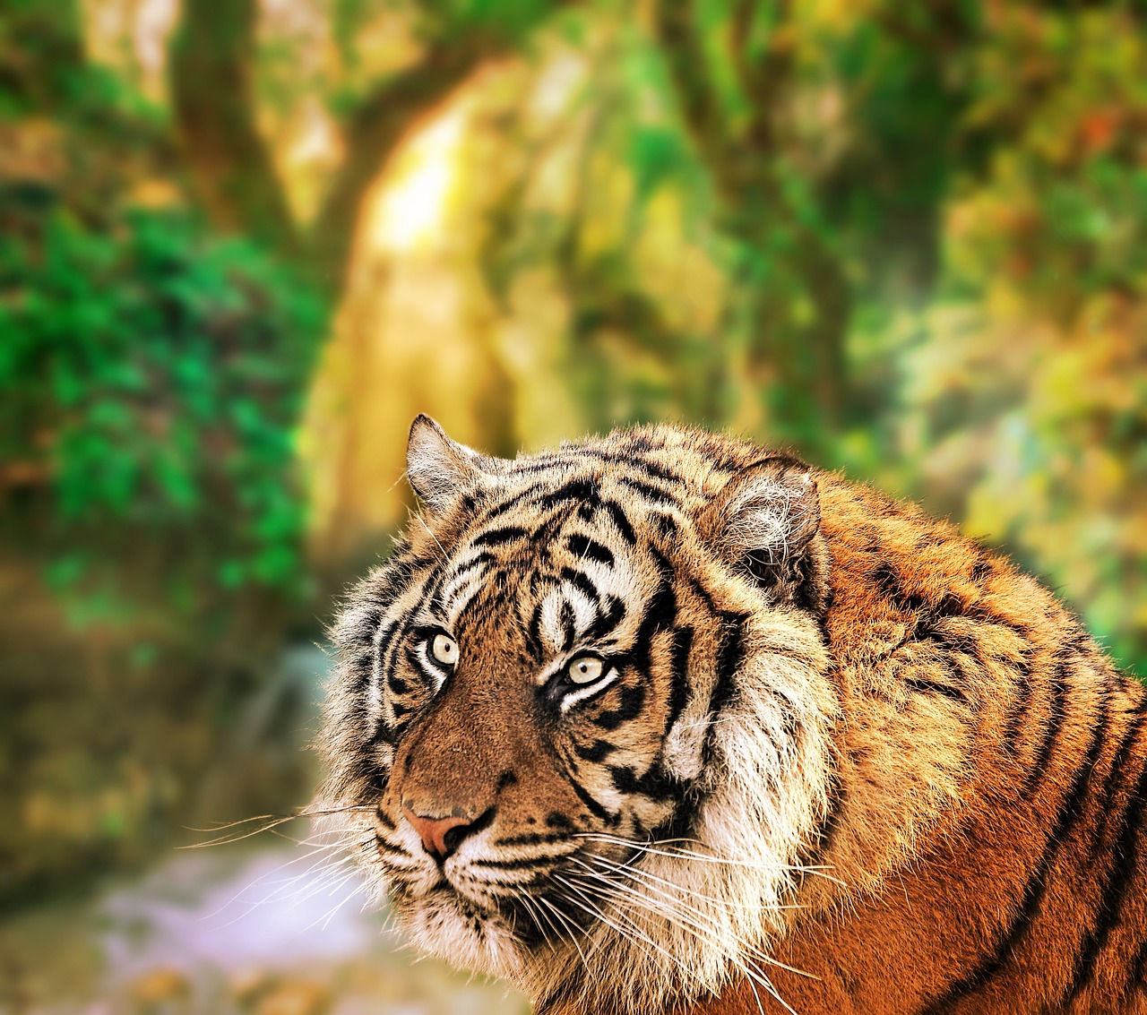 The Powerhouse of Biodiversity: Exploring the Amazon Rainforest